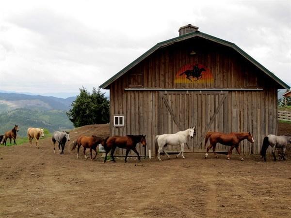 Bull Hill Guest Ranch Marble Ngoại thất bức ảnh