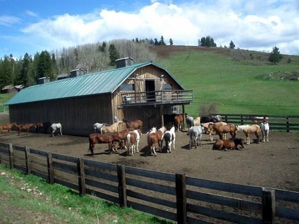 Bull Hill Guest Ranch Marble Ngoại thất bức ảnh